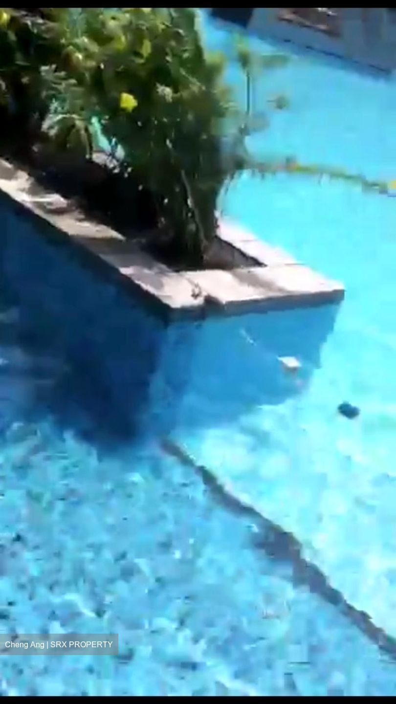 The Stellar (D5), Condominium #504513801